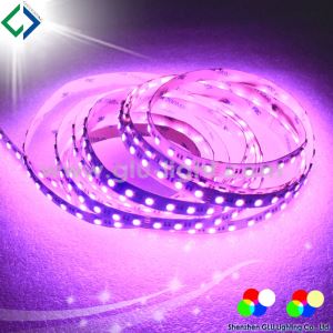 Dostosowany RGBA 4 w taśmie LED 1 5050 Producent z Chin
